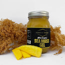 Powerhouse Seamoss Mango Seamoss Gel, 16oz
