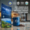 Jahva Coffee 100% Jamaican Blue Mountain Coffee, 16oz