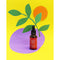 Little Miracle | Rosehip Serum