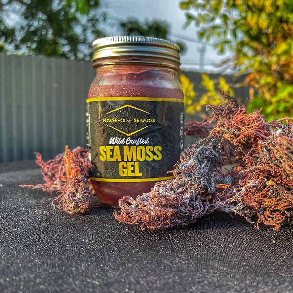 Powerhouse Seamoss Purple Seamoss Gel, 16oz