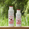 Shampoo | Colour & Care