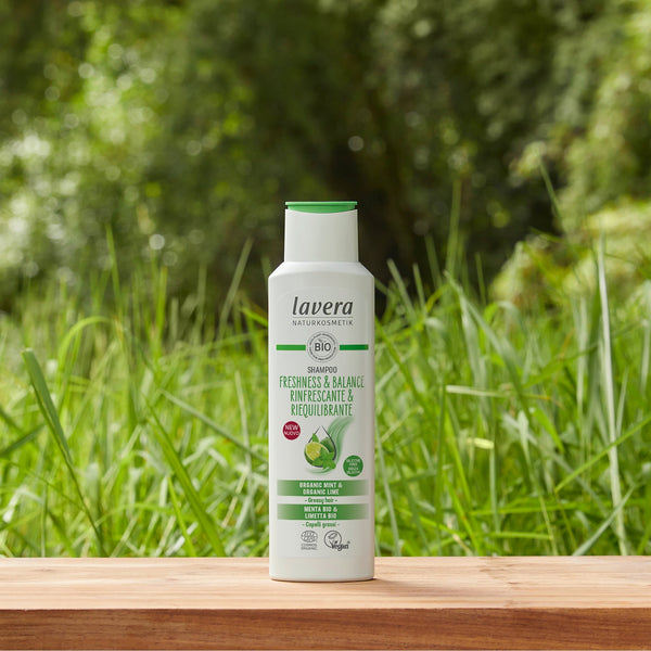 Shampoo | Freshness & Balance
